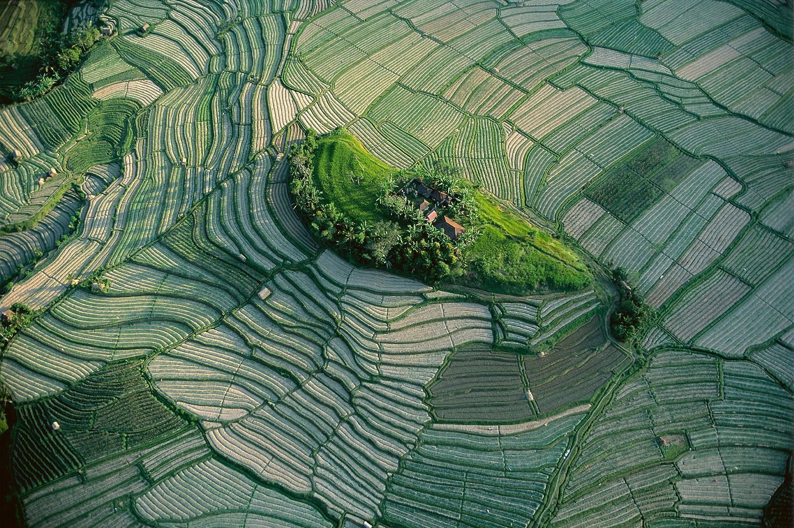 Yann Arthus-Bertrand
